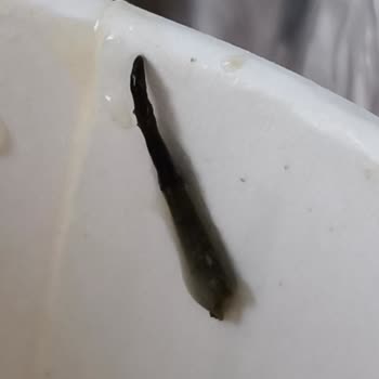 Köfteci Yusuf Şubesinde Çorba İçindeki Yabancı Cisim Bebeğimi Tehlikeye Attı