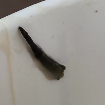 Köfteci Yusuf Şubesinde Çorba İçindeki Yabancı Cisim Bebeğimi Tehlikeye Attı