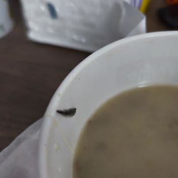 Köfteci Yusuf Şubesinde Çorba İçindeki Yabancı Cisim Bebeğimi Tehlikeye Attı