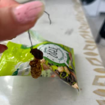 Mlife İp Bağlı Üzüm Ve Dut Atıştırmalığı: Hijyen Endişesi