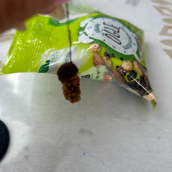 Mlife İp Bağlı Üzüm Ve Dut Atıştırmalığı: Hijyen Endişesi