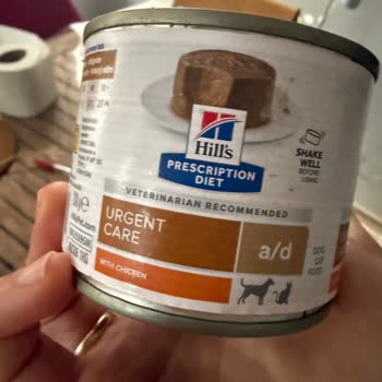 Migros’tan Süresi Geçmiş Tavuk Ürünü Kediyi Hastalığa Sürükledi Ve Destek Vermedi