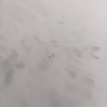 Ayıplı Koltuk Garanti Kapsamı Reddedildi Ve Onarım İmkansız