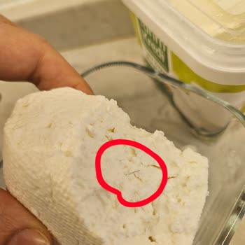 Tarım Kredi Beyaz Peynirinde Kıl Tespiti Sağlık Endişesi Ve Güven Sarsıntısı