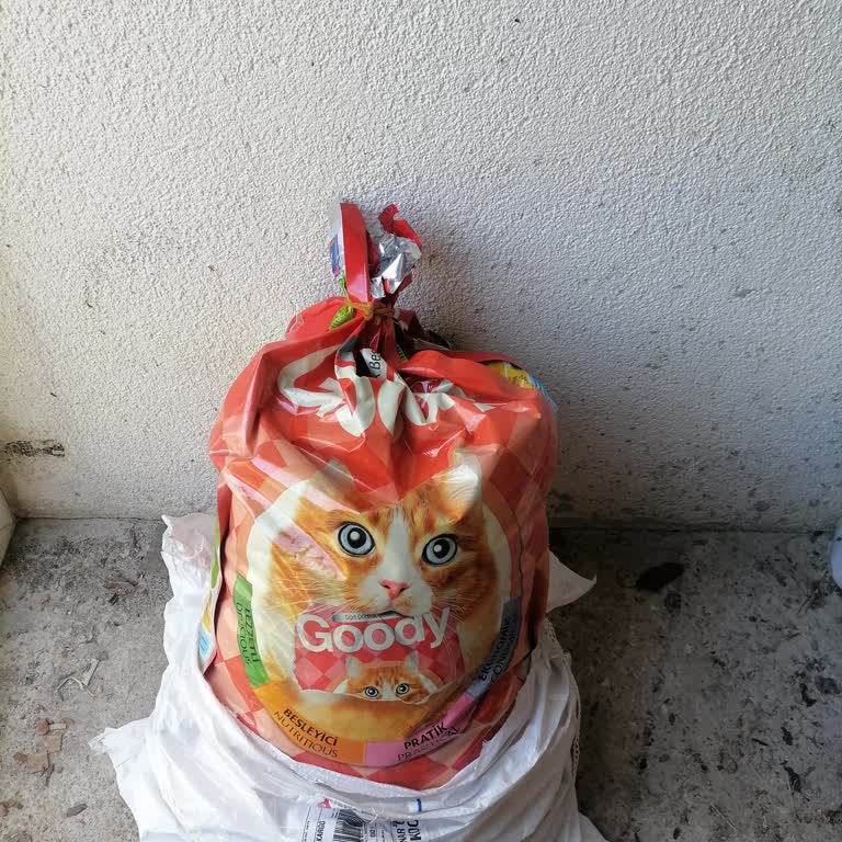 Kedi Maması Bozulmuş, 6 Aylık İade Hakkı Reddedildi