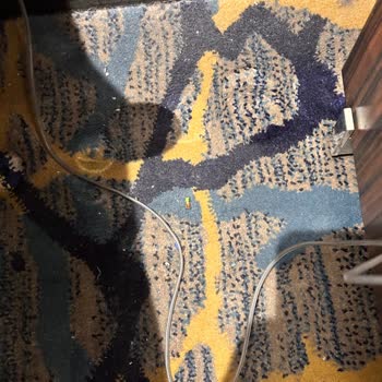 Hisar Turizm Söz Verilen 4-5 Yıldız Otel Yerine 1 Yıldızda Kirli Konaklama