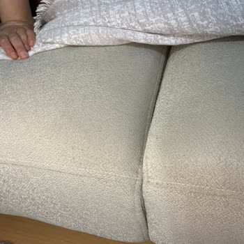 Divanev Koltuk Takımındaki Bitlenme Ve Üretim Hatası, Satış Sonrası Destek Yokluğu