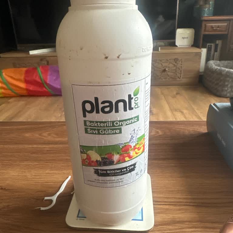 Facebook Üzerinden Limon Ağacı Siparişinde Yanıltıcı Ürün Gönderimi Ve İade Talebi