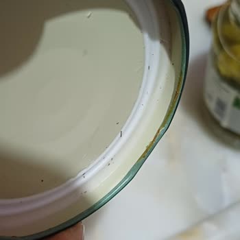 Tat Kornişon Turşu Kapağın İç Kısmının Tamamen Pas İçinde Olması