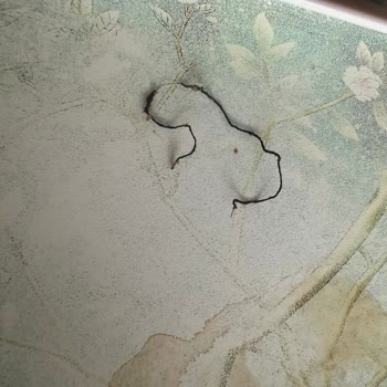 Kurabiyede İp Bulunması Hijyen Endişesi