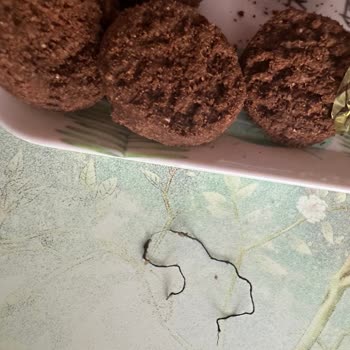 Kurabiyede İp Bulunması Hijyen Endişesi