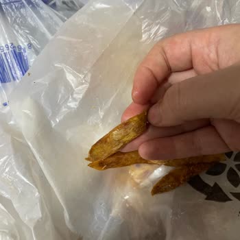 Muş Merkez Öncü Döner’de Bozulmuş Patatesli Dürüm Nedeniyle Gıda Güvenliği Endişesi