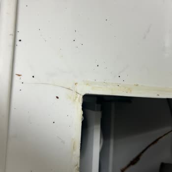 Bosch Mutfak Tezgahı Kısa Sürede Çatladı Ücretsiz Değişim Talebi