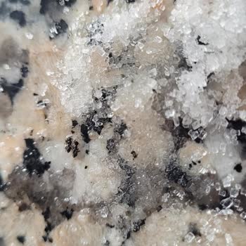 Şeker Paketi İçinde Karınca Görülmesi Ve Hijyen Şikayeti