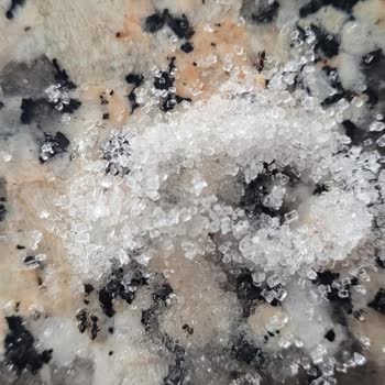 Şeker Paketi İçinde Karınca Görülmesi Ve Hijyen Şikayeti