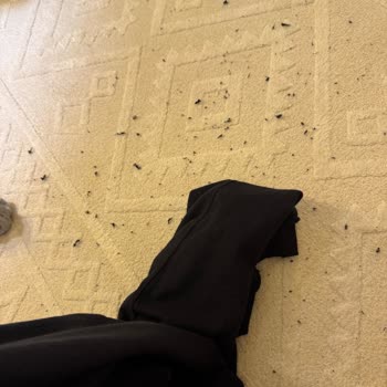 Tek Yıkamada Tüylenme, Kısa Kullanımda Baskı Çözülmesi