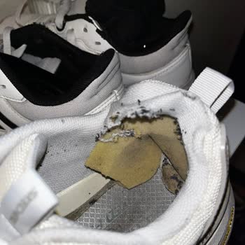 Skechers Ayakkabısının Tabanında Çözülme Ve İade Sistemindeki Hata