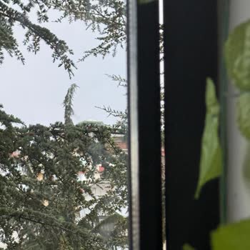 Yns Cam Balkon Ne Gelen Oldu Ne De Yazdığım Sonraki Mesajlara Cevap Verildi