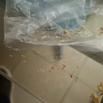 Silifke Migros Jet’te Son Kullanma Tarihli Gofretten Kurtlar Çıktı