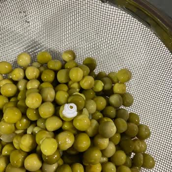 Bezelye Kavanozunda Salyangoz Kabuğu Tespit Edildi