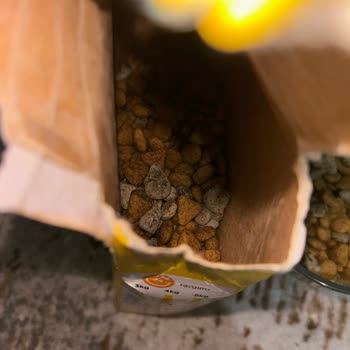 Kedimin Sağlığı Tehlikede A101'de Kontamine Kedi Maması