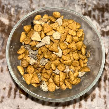 Kedimin Sağlığı Tehlikede A101'de Kontamine Kedi Maması