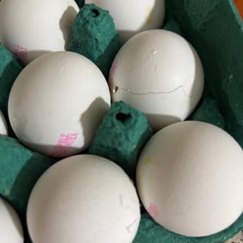 Kırık Yumurta Teslimatı Ve Cevapsız Müşteri Hizmetleri