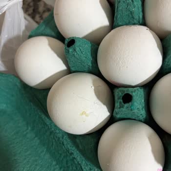 Kırık Yumurta Teslimatı Ve Cevapsız Müşteri Hizmetleri