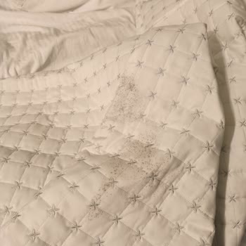 SSC Tur’un Rezervasyon Hatası Ve Rutubetli Otelde Mağduriyet