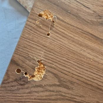 Enza Home Wardrobe Door Fell Off – Customer Injured After Service Delay