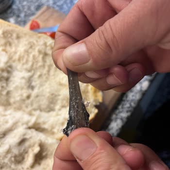 Ekmekte Eldiven Parçası Çıktı Gıda Güvenliği Endişe Yarattı