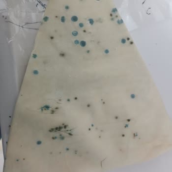 BİM Connex Yufka Küflenmesi