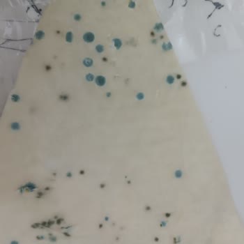 BİM Connex Yufka Küflenmesi