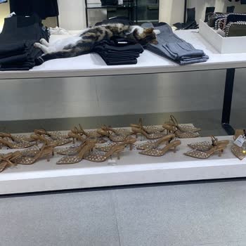 Zara Mağazasındaki Kedinin Kıyafet Üzerinde Yatması Hijyen İhlali Ve Çalışanların İlgisiz Tutumu