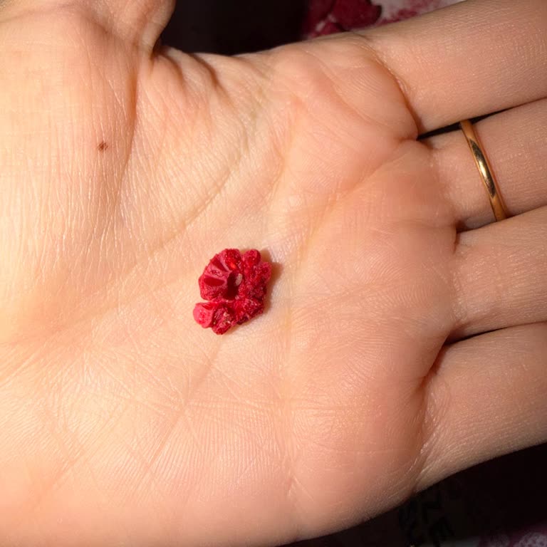 Pol's Gurme Freeze Fresh Ürünün İçinde Kurtlar Ve Sağlık Riski