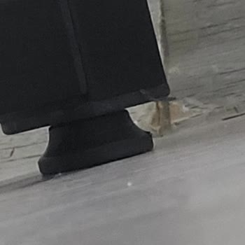 Ayıplı Masa Ve Güvenlik Riski Nedeniyle Tam Para İadesi Talebi