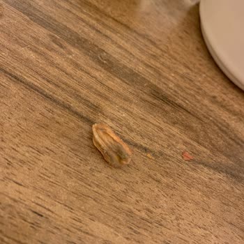 Migros Lüks Karışık Çerezde Kalite Sorunu Sadece Fıstık Ve Çürük Antep Fıstığı