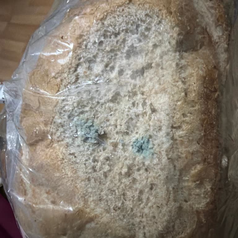 Samsun Siteler Şubesinde İki Kez Küflü Ekmek Verildi, Sağlık Riski Oluştu