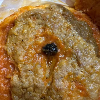 Hamburgerde Sinek, Hijyen İhlali Ve İade Talebi