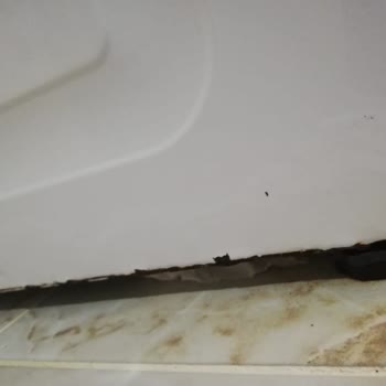 Arçelik Çamaşır Makinesinde Hızlı Paslanma Ve Servis İhmali