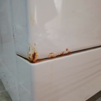 Arçelik Çamaşır Makinesinde Hızlı Paslanma Ve Servis İhmali