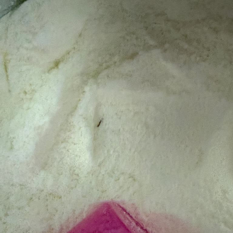 Aptamil Pronutra 1 Mama İçinde Böcek Parçası Ve Acımsı Tat: Sağlık Ve Hijyen Endişesi