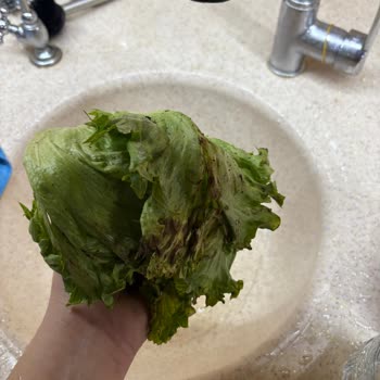 Çürük Marul Ve Yanlış Kola Teslimatı İçin İade Talebi