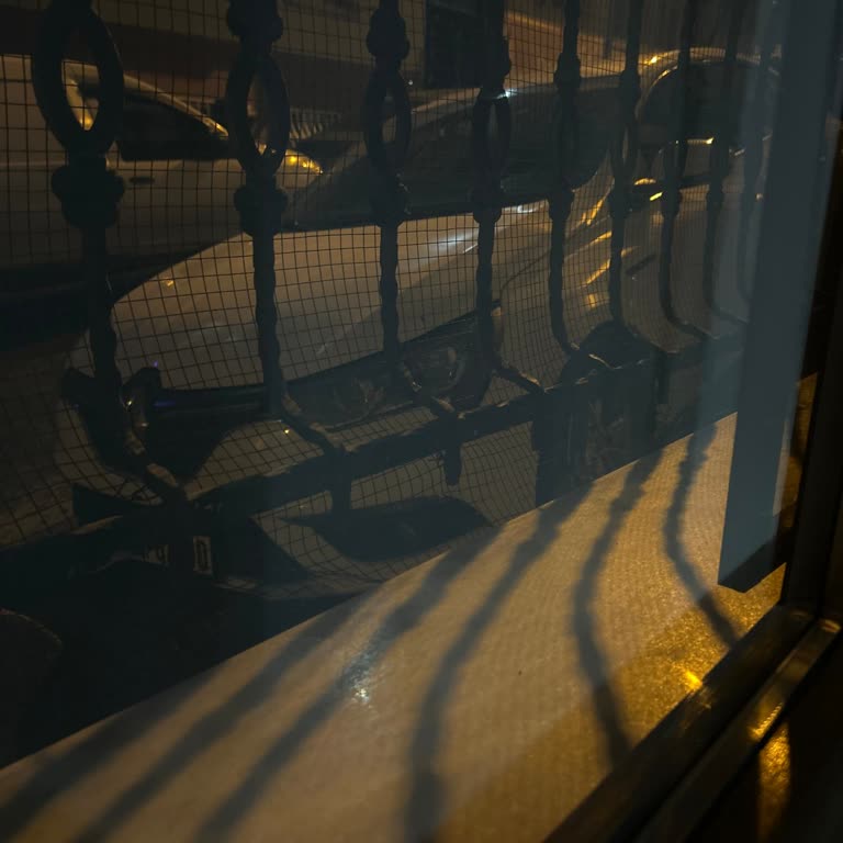 Bahçe Katı Dairemin Önündeki Araç Parkı Mahremiyetimi Ve Işığı Engelliyor