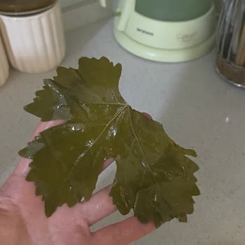 Ege_ovası Hesabından Gelen Kusurlu Bidon İçin İade Talebi Ve Cevapsızlık