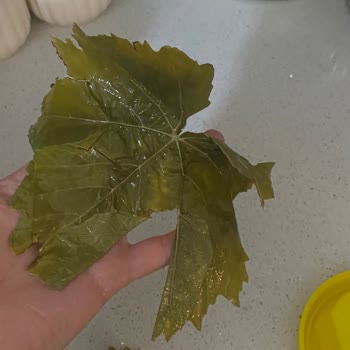 Ege_ovası Hesabından Gelen Kusurlu Bidon İçin İade Talebi Ve Cevapsızlık