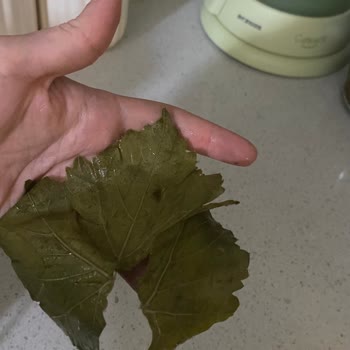 Ege_ovası Hesabından Gelen Kusurlu Bidon İçin İade Talebi Ve Cevapsızlık