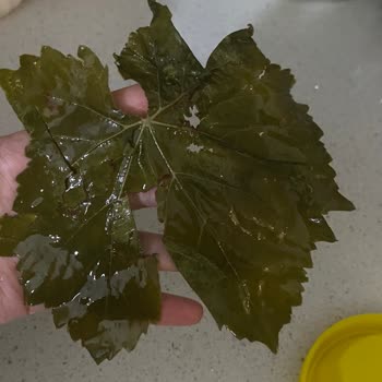 Ege_ovası Hesabından Gelen Kusurlu Bidon İçin İade Talebi Ve Cevapsızlık