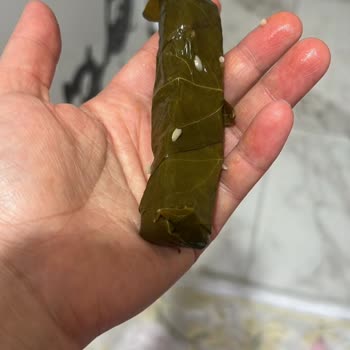 Aşırı Tuzlu Ve Çok Kalın Yaprak Sarma, İade Talebim Görmezden Gelindi