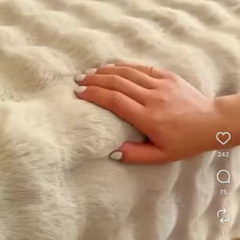 Krem Renk İstedi, Yanlış Renk Gönderildi, İade Ve Değişim Cevapsız